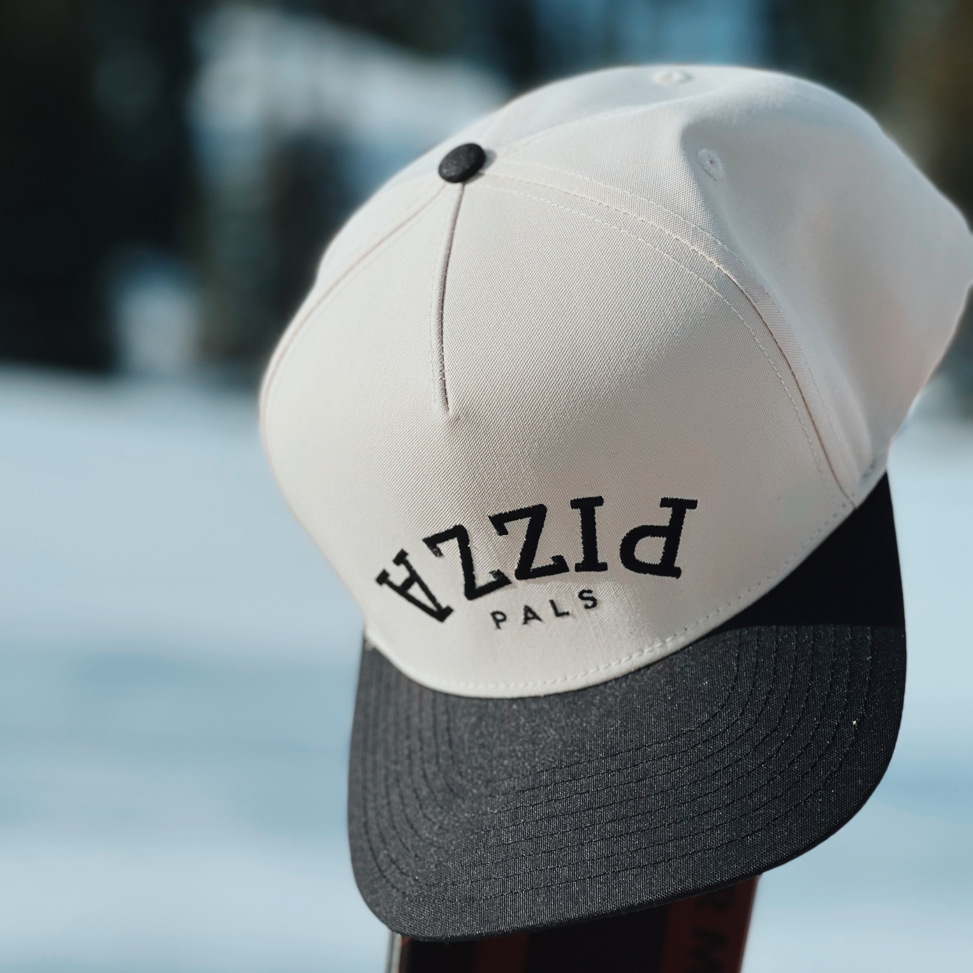 Pals Hat | Black